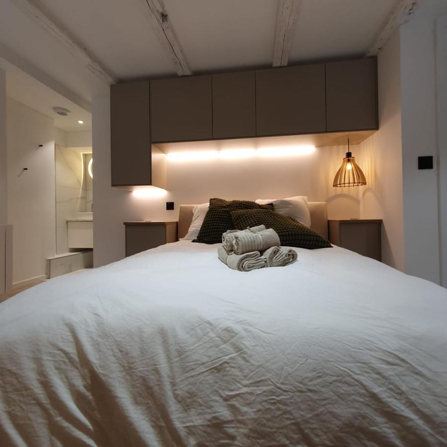 Les Appartements Hyper Centre Страсбург Экстерьер фото
