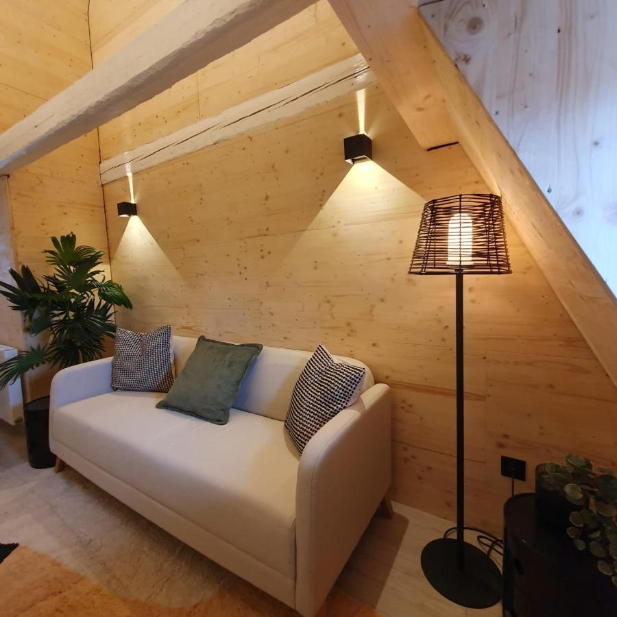 Les Appartements Hyper Centre Страсбург Экстерьер фото
