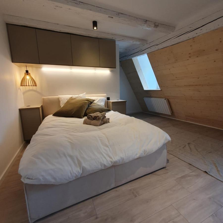 Les Appartements Hyper Centre Страсбург Экстерьер фото