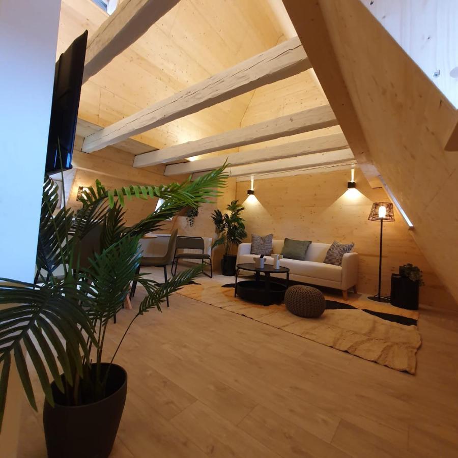 Les Appartements Hyper Centre Страсбург Экстерьер фото