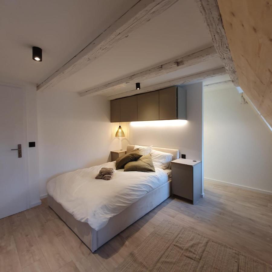Les Appartements Hyper Centre Страсбург Экстерьер фото